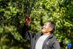 产物质量不变性不脚、财产结构分离等挑和